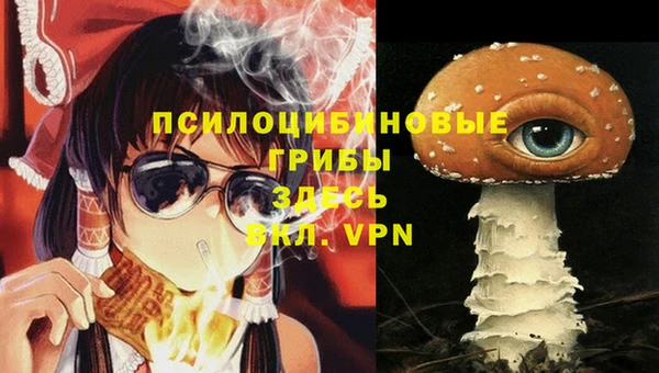 apvp Ладушкин