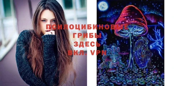 соль ск Лабытнанги