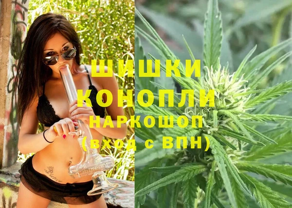 соль ск Кулебаки