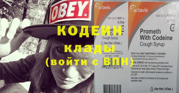 ECSTASY Лагань