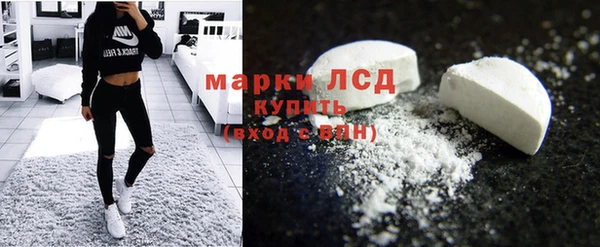 ECSTASY Лагань