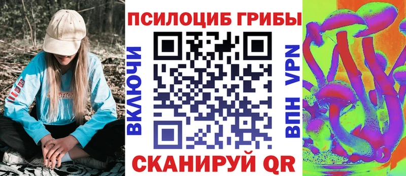 купить наркоту  Мелеуз  Галлюциногенные грибы мицелий 
